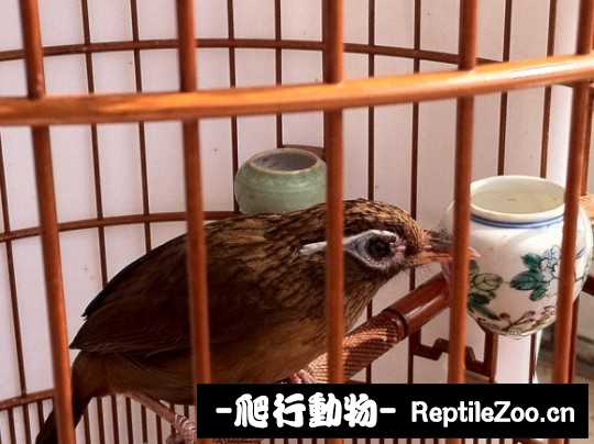 231403bwr45zclwwt8zc3v.jpg