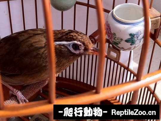 231403qlh848iqg3geljii.jpg