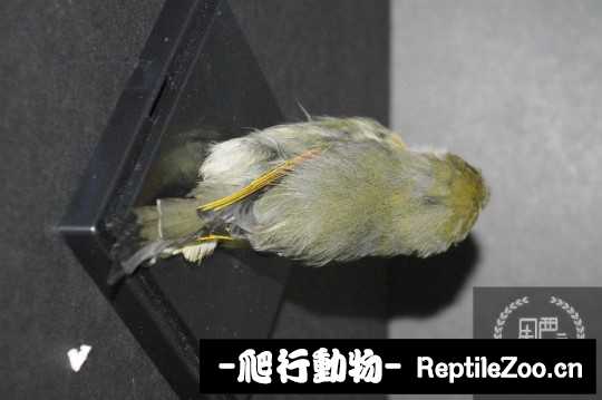 231406cpkpeopivvpbevpk.jpg