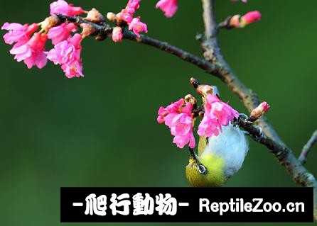 231410hqpcypcrnnfzkfdd.jpg