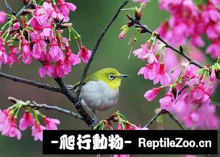 231412b407d7mwuup4tupr.jpg