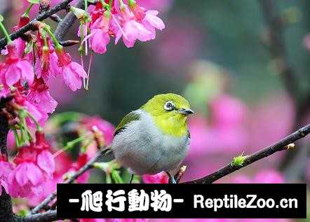 231412uymmfcj8e4jj4ev9.jpg