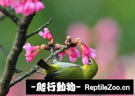 231413pnz6u443iawu7898.jpg