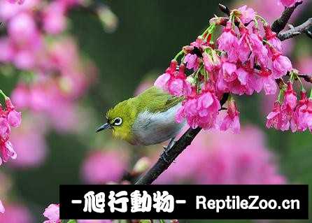 231413ro2wzktm6nr8nb2m.jpg