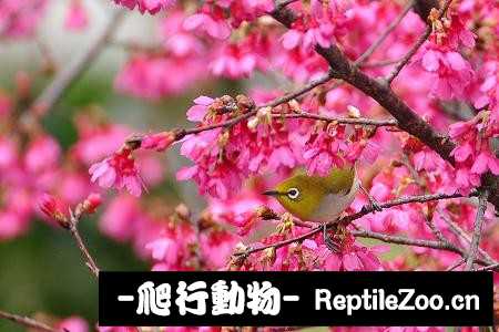 231414b79n16q7wyxg9yqn.jpg