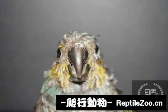 231415mq2n8jrqqr8scgcs.jpg