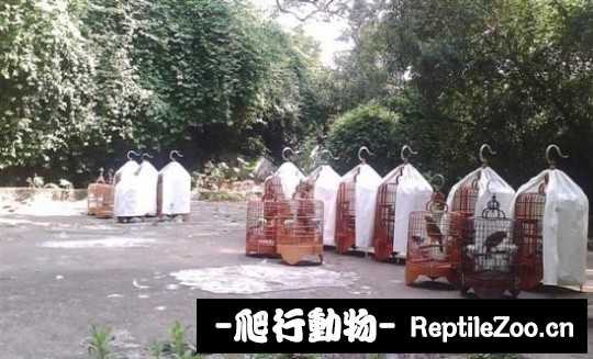 231425h2kmzbwqp24biuhu.jpg