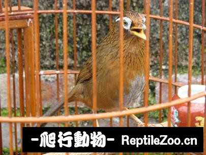 231425o3kyao33v93rf355.jpg