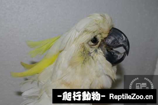 231432hbyidpdb0iiymtad.jpg