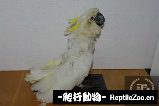 231432qyyr16bazhtb9b9z.jpg