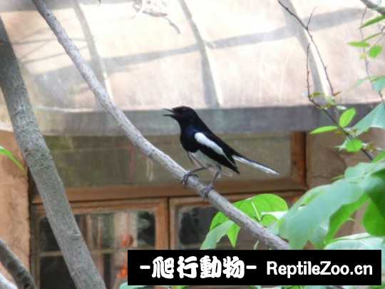 231437hd2ao2dub6fdlobc.jpg