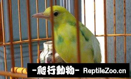 231442phlmzooqddpmzmmq.jpg