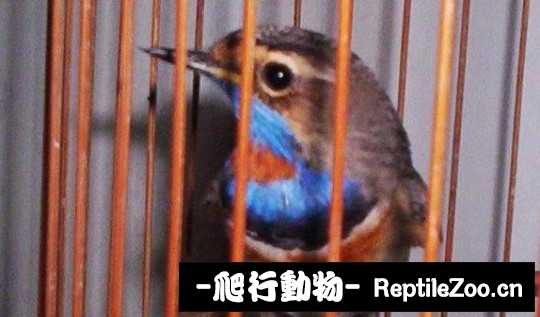 231442r0a7agjgb672ixrj.jpg