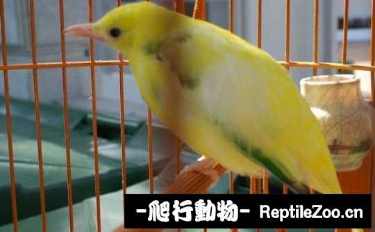 231442v0h632ppbb3y3zz8.jpg