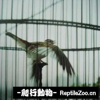 231443cwkm70o686wxq00p.jpg