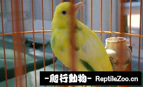 231443rnj3bnm3ymynsuxw.jpg