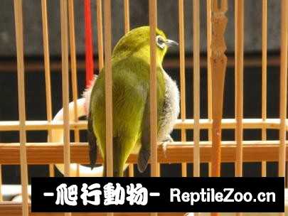 231444vj03z34u9u0w27w5.jpg