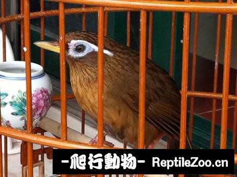 231455b69u9935evzzydxb.jpg