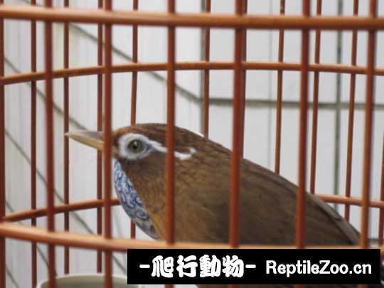 231458kxqsq8s4ursfox8l.jpg