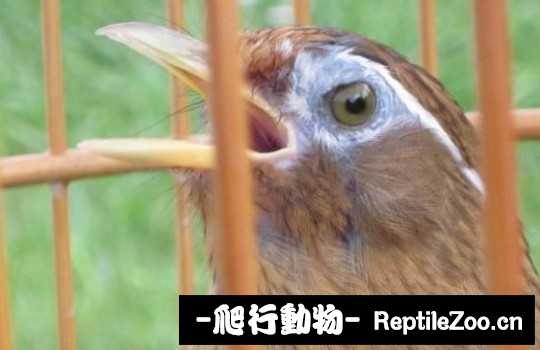 231507wwtf0iffdgivcvw6.jpg