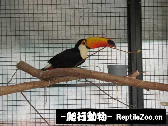 231748hmpa9mlrwp6pmate.jpg