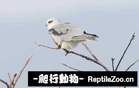 231830ist4od2tt2z3znsp.jpg