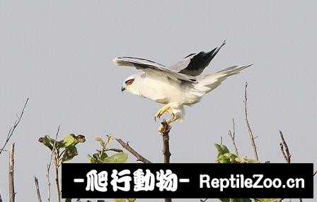 231831u7niiskzqsr2b6q6.jpg