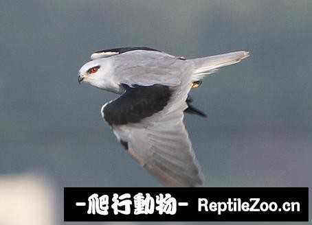 231831xb7p7tp9k3axa7aa.jpg
