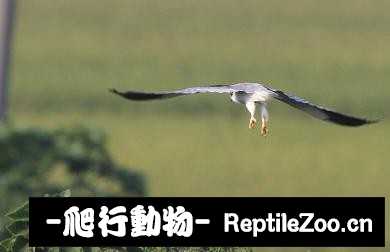 231832qduwnwt424k23fs1.jpg
