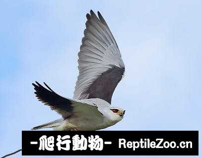 231838anr0z9h0rpp6mzl0.jpg