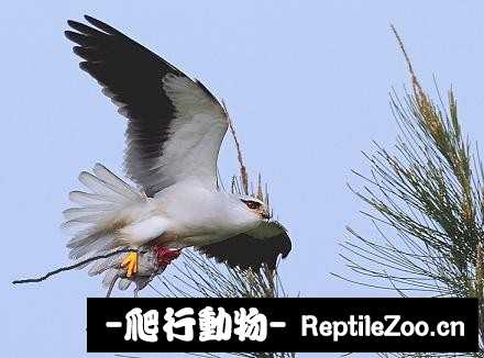 231838l66iqt8hnfu0yuu7.jpg