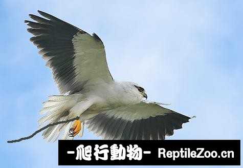 231838uheheheq23sh742e.jpg
