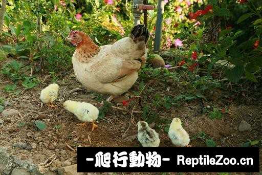 232100buj0z3gbpgaw3pz3.jpg