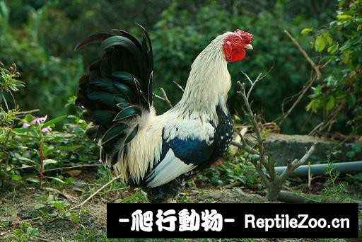 232102dccjate0ktxsxk0k.jpg