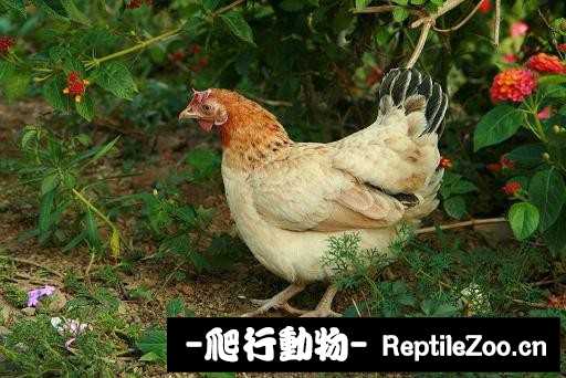 232102fut2kq8uvsuxqz8f.jpg