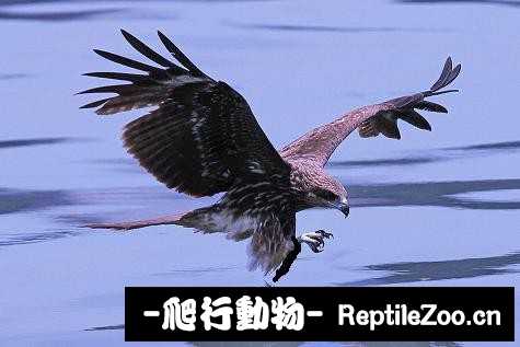 233455ky11oyu6qjtkct25.jpg