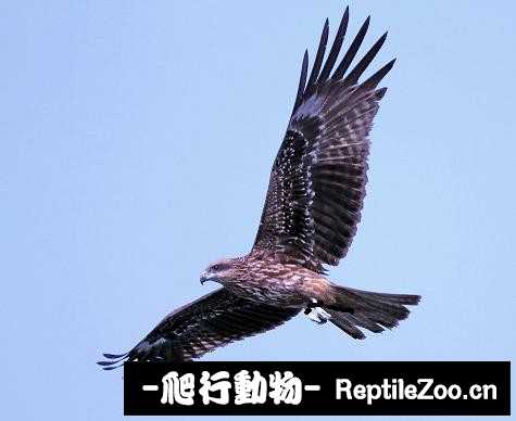 233456ltpicp8cq00baqpc.jpg