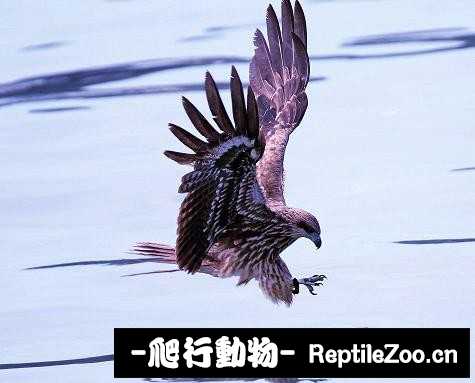 233457red9zrdi7xxz82yy.jpg