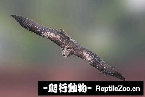 233457xn1ffr9n7yofybqi.jpg
