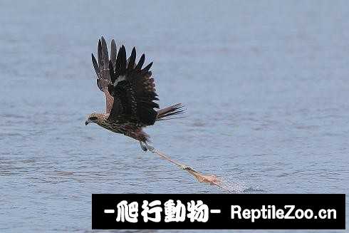 233458kffex8zi2mx45o8e.jpg