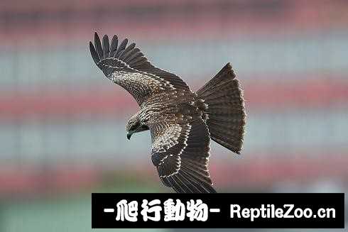 233459e2vmw4022l5m4pwp.jpg