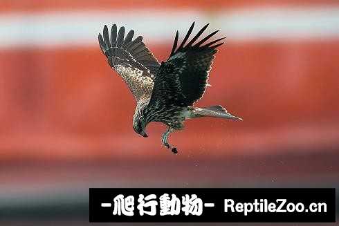 233500jtoqqb4t472b7md1.jpg