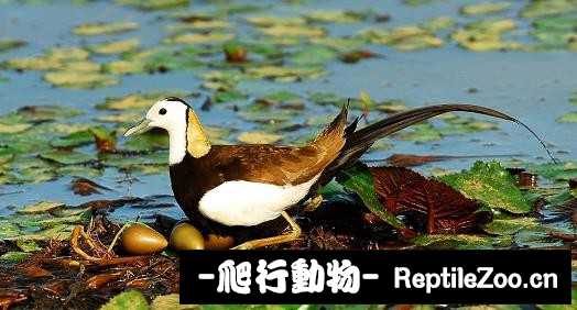 233811pf9dewce9czeyn88.jpg