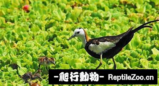 233812ji905epp6pa6z9yp.jpg