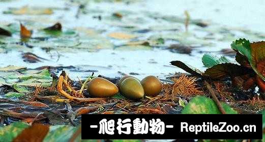 233835o8jgk8z42kjjkktk.jpg
