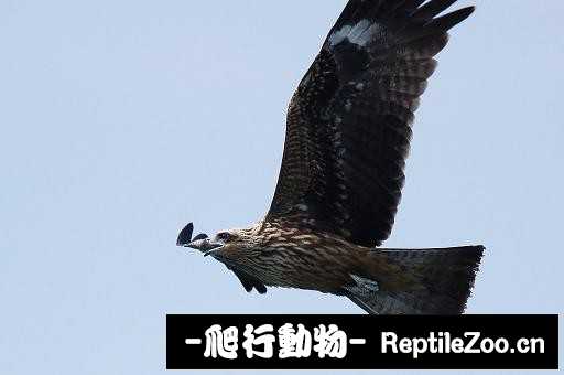 233836jt2huhqzythuukp5.jpg