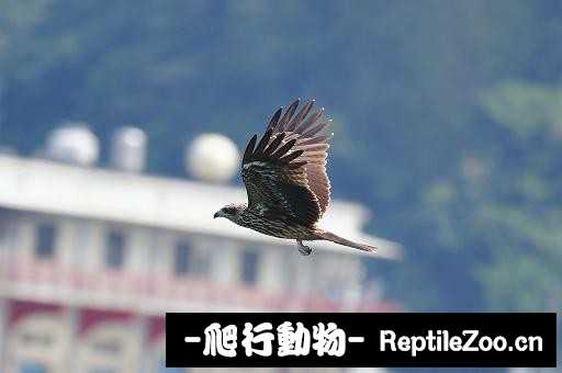 233837fjp64aw6586w9gw6.jpg