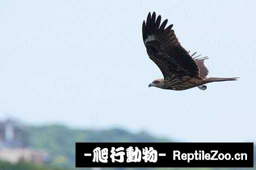 233838fxw02qxilfqxxqv3.jpg