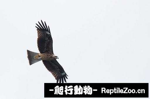 233838ingd19y0vdf6a00g.jpg