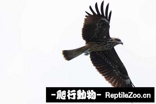 233839a2r6r62g2dzl2g62.jpg